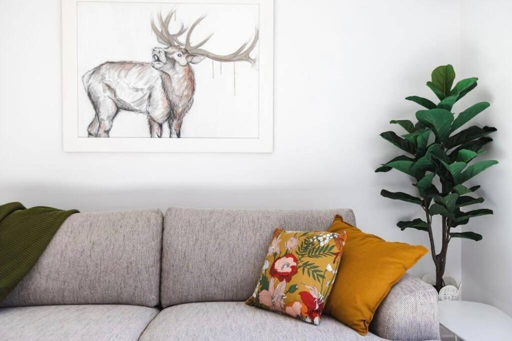 Villa Cbd With Style And Luxury - Free Parking Christchurch Esterno foto